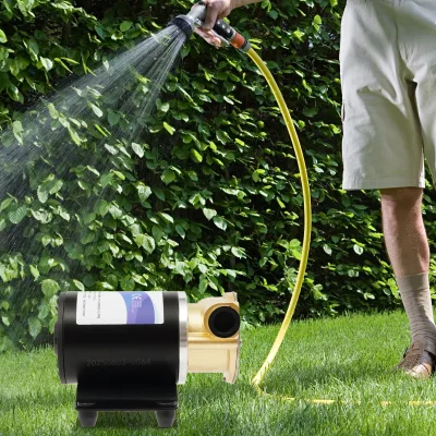Pompe à eau noire en cuivre 120 W, 12 V – image 2